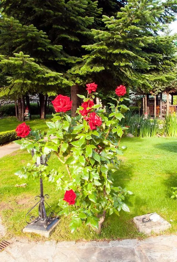 בנסקו Hotel Tanne