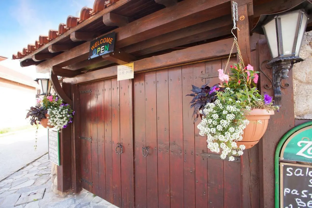 Hotel Tanne Bansko